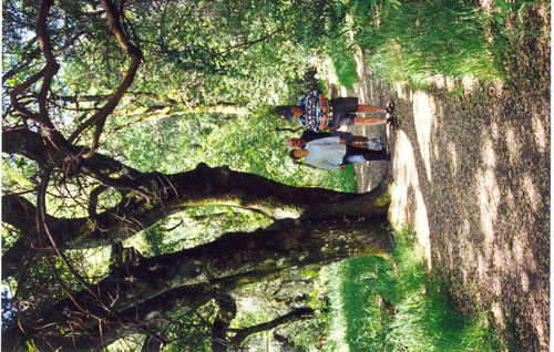 scan0024