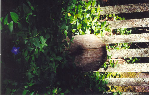 scan0026
