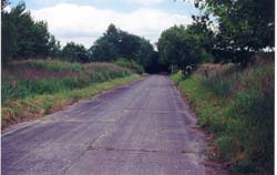 scan0061