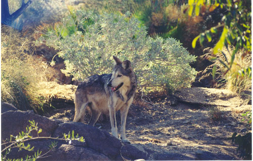 scan0053