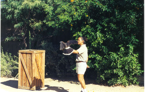 scan0056