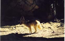 scan0052