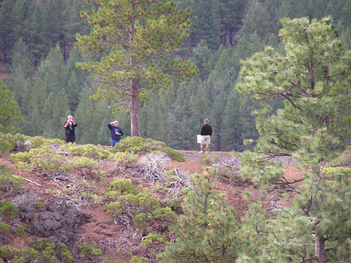Oregon023
